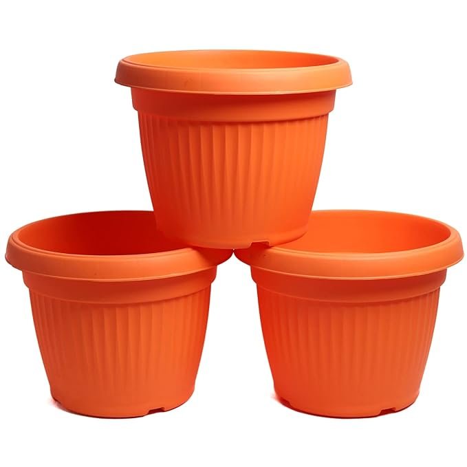 Bello Round 30 ( Set of 3 )