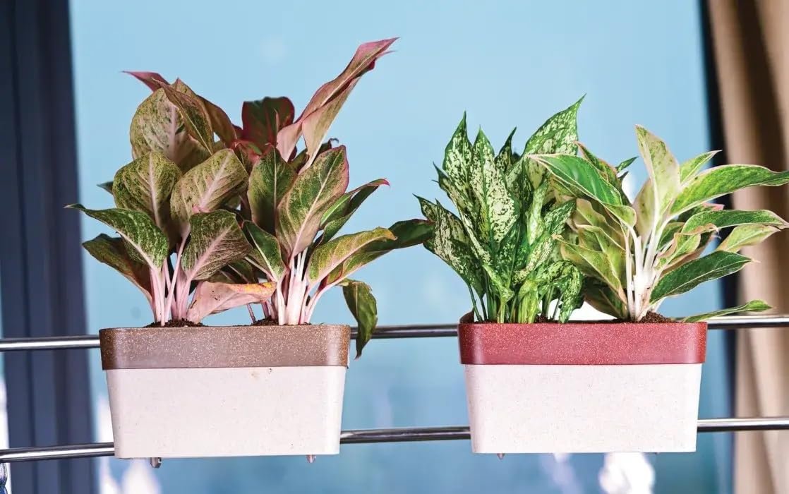 ARTY R 30 Eco Brown (set of 4) - Image 2