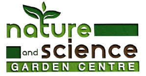 NS_3d_1-removebg-preview-e1749445366565 (1)