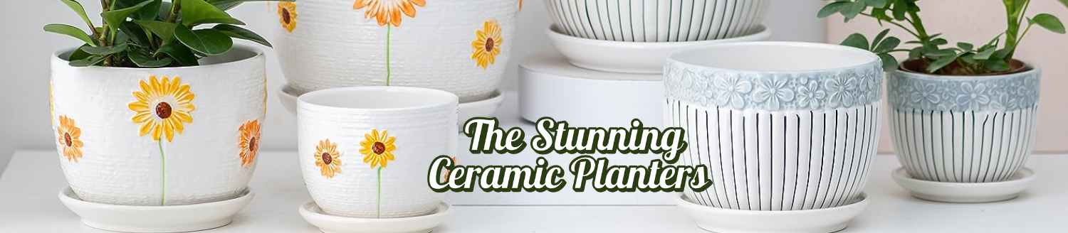 The-Stunning-Ceramic-Planters