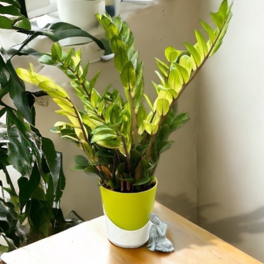 Atlantis Self-Watering Table Top Planter – Set of 3 - Image 2