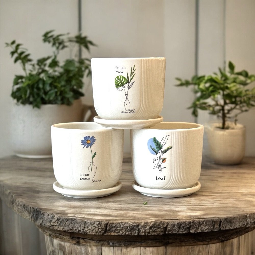 Ceramic Planter Table Top