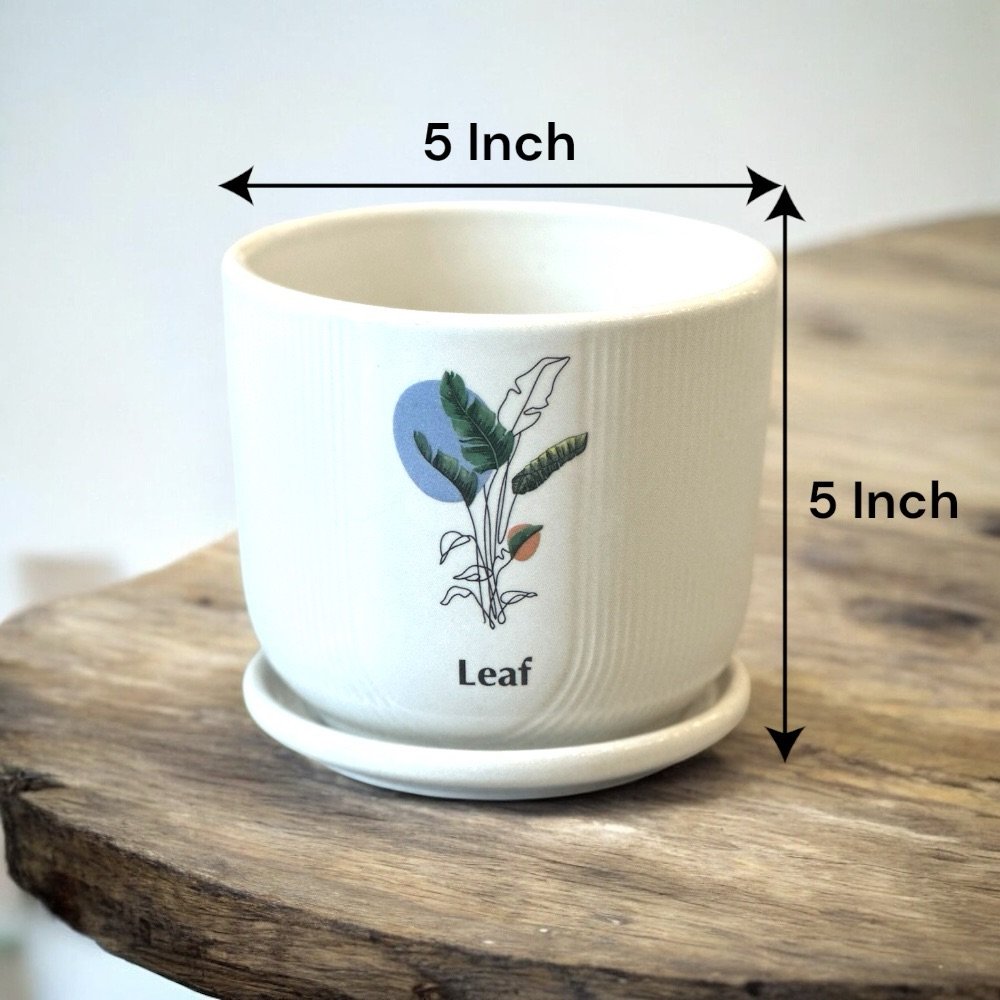 Ceramic Planter Table Top - Image 5