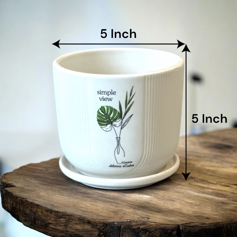 Ceramic Planter Table Top - Image 2