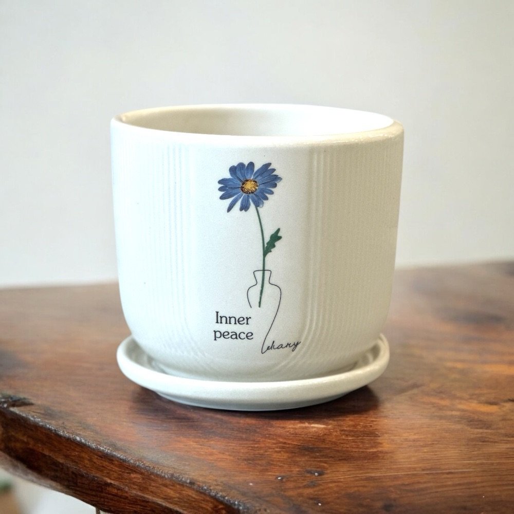 Ceramic Planter Table Top - Image 6