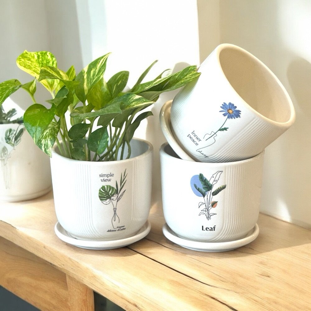 Ceramic Planter Table Top - Image 3