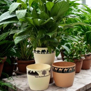 Printed Traditional Gifted Pot