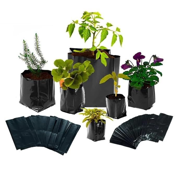 Nursery Bags ( Grow Bags ) 50 pcs