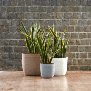 Milano 30 Indoor & Outdoor Planter