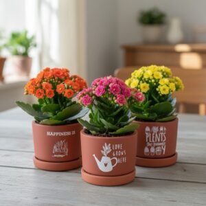 Clay Pots With Bottom Tray Printed