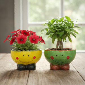 Ceramic Planter Table top ( Smiley Face )