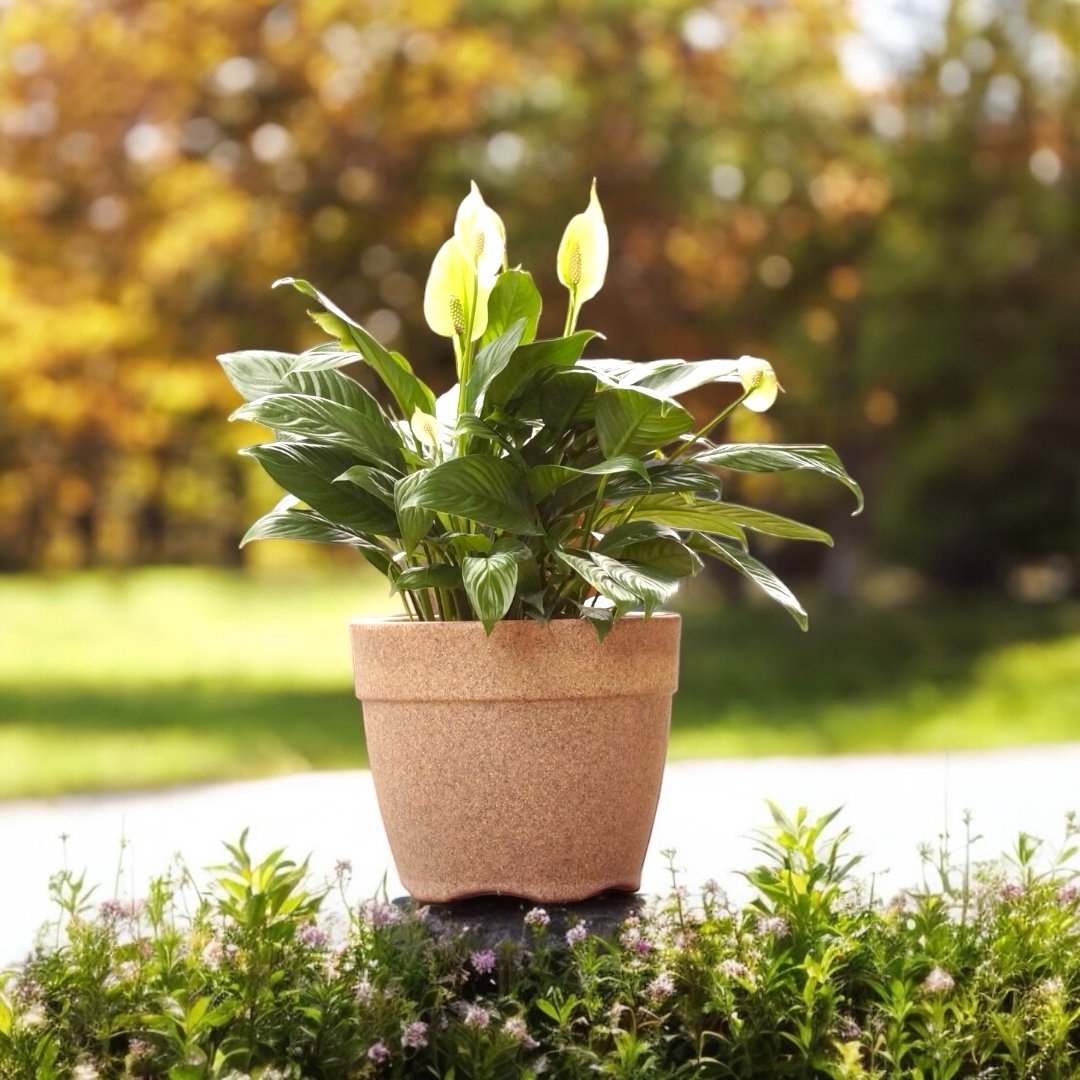 Barca Round Indoor & Outdoor Planter