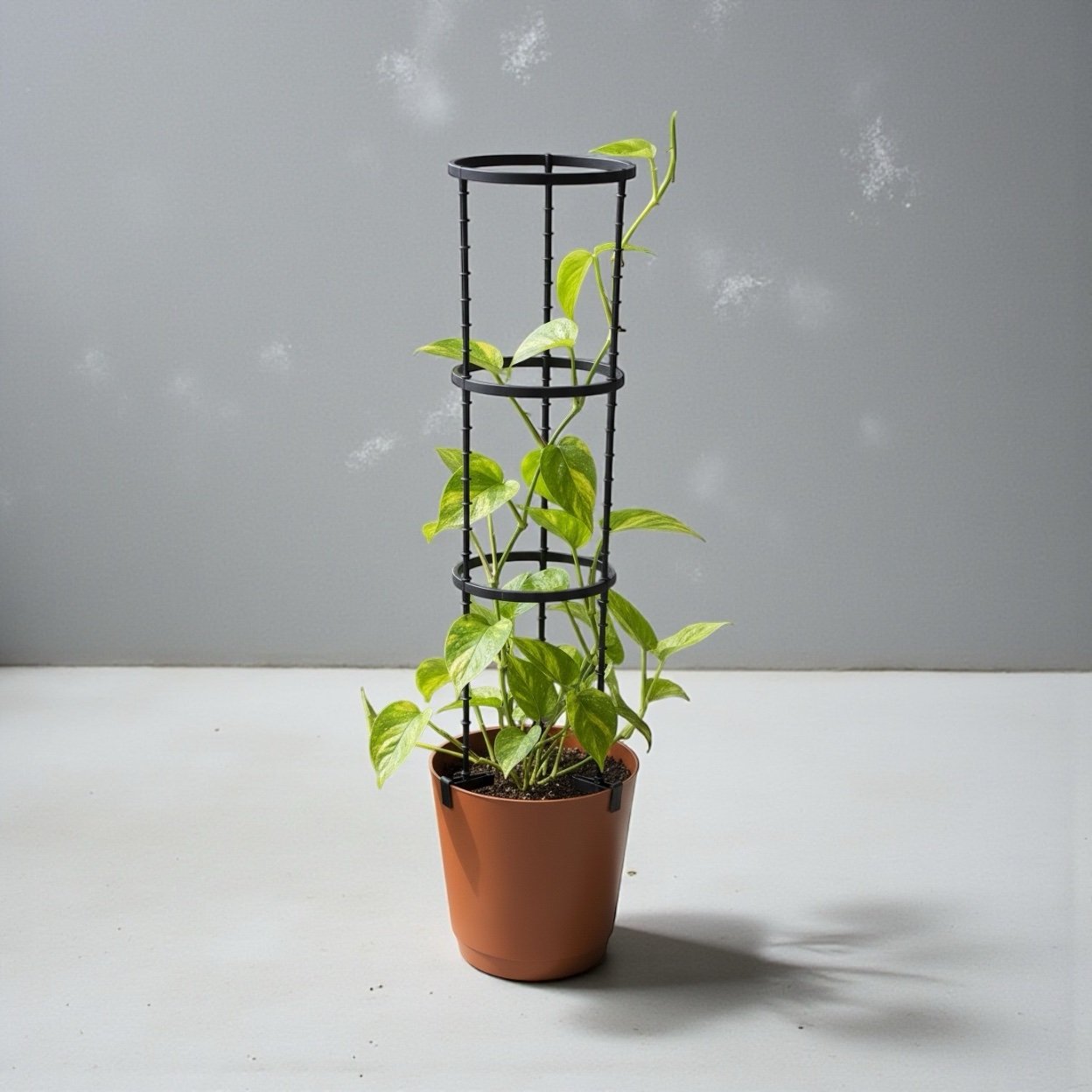 Krish 25 Self Watering Round Plastic Pot (25CM|9.8INCH) with Trellis ( Best planter for Creeper and Vegetable )