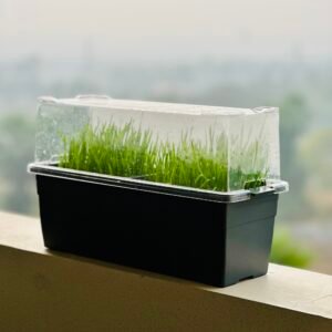 Sprouta Microgreen Pot & Tray (Food Grade Plastic)