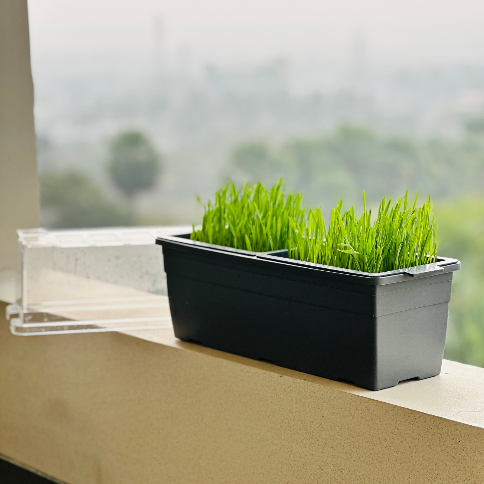 Sprouta Microgreen Pot & Tray (Food Grade Plastic) - Image 5