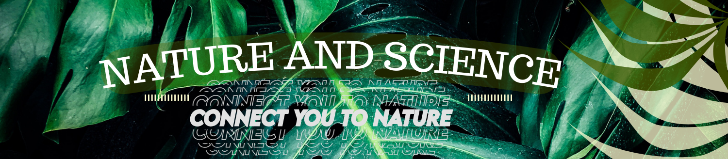 CONNECT YOU TO NATURE