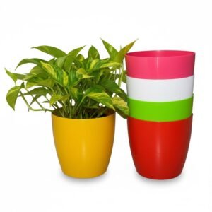 Valencia Planter for Indoor