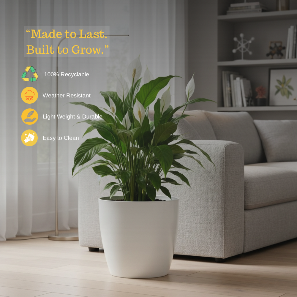 Premium Gloss Matt Finish Planter with Wheels - Image 2