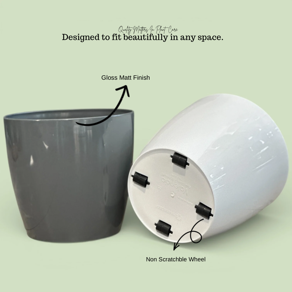 Premium Gloss Matt Finish Planter with Wheels - Image 3